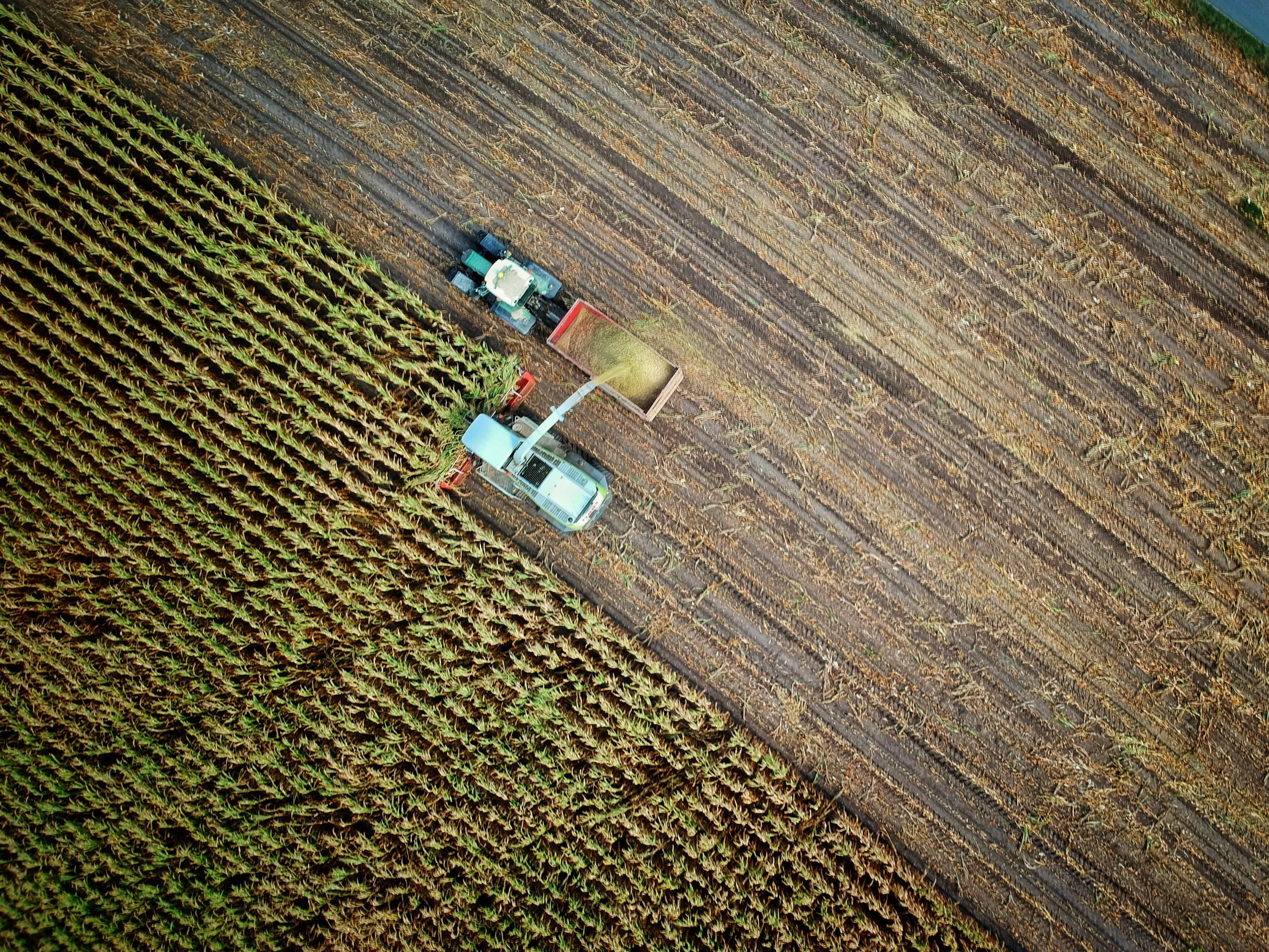 AgriTech & Smart Farming