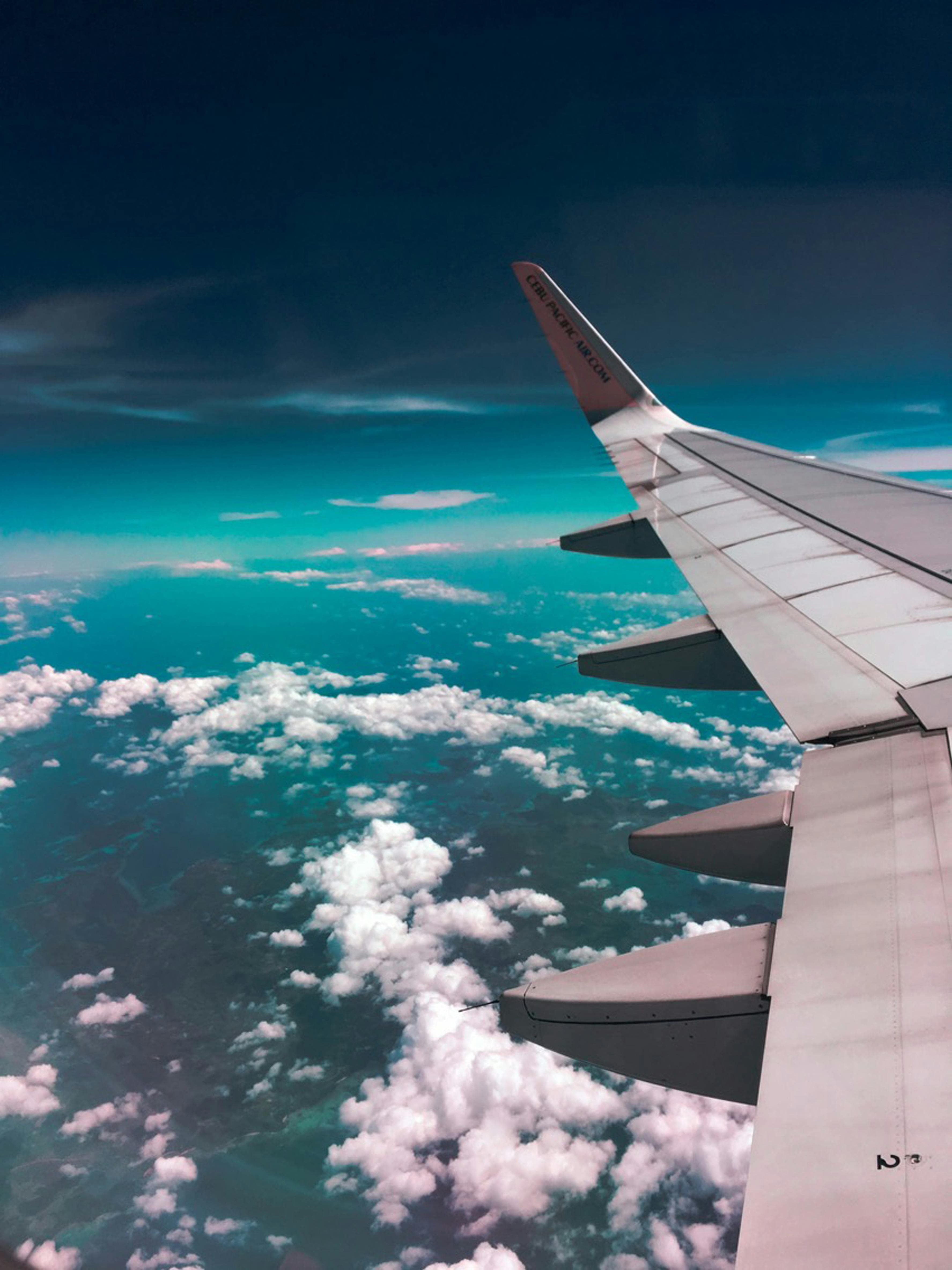 Travel & Hospitality